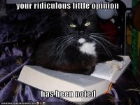opinion cat.jpg