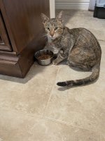 PXL_20251110_190300075.jpg PXL_20251110_190300075.jpg