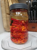 20251115_161955.jpg 20251115_161955.jpg