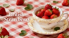 ytoo e-liquid vape juice e-juice manufacturer december new flavor-01.jpg ytoo e-liquid vape juice e-juice manufacturer december new flavor-01.jpg