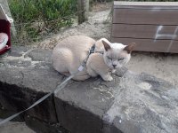 PC100024.JPG PC100024.JPG