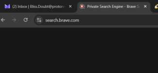 Brave search.PNG