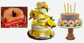 Snap 2026 party cakes crop.jpg