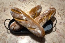 IMG_3825 (Medium).jpg