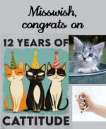 Misswish 12th vapeversary.jpg