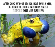 1771966268990.png 1771966268990.png