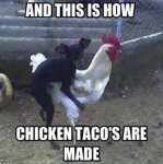 chicken tacos.jpg