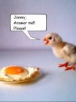 70321-funny-chicken.jpg