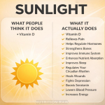 1773520865440.png 1773520865440.png