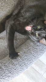 1000017924.jpg 1000017924.jpg