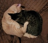 1000017569.jpg 1000017569.jpg