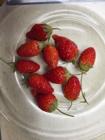 20260415_101507.jpg 20260415_101507.jpg