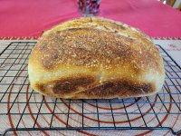 20260417_152400 (1).jpg