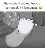 1778535803008.png