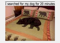 1779200970212.png