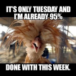 1779201385591.png