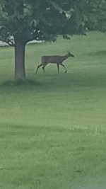 20260519_062843.jpg