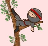 Sleeping ninja.jpg