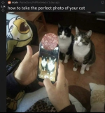 1780335730469.png
