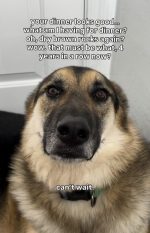 1780335950001.png 1780335950001.png