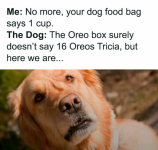 1780336094584.png 1780336094584.png