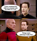 1780337357643.png