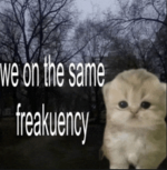 FFFF Friday Freakuency.PNG