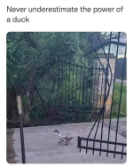 1780961932232.png