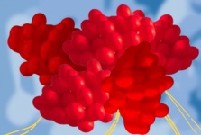 Sarah red balloons 26.PNG Sarah red balloons 26.PNG