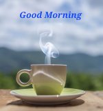 515.jpg