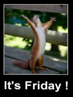 FFFF Friday.PNG