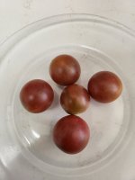 20260620_173008.jpg