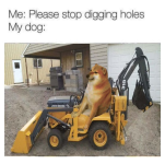 1782151547477.png 1782151547477.png