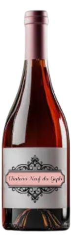 Chateau Neuf du Goph.PNG
