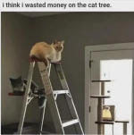 1783361732007.png