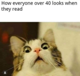 1783361914939.png