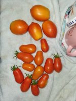 20260719_072000.jpg 20260719_072000.jpg