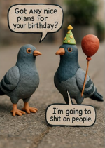 Birds card NU.PNG
