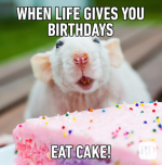 Eat cake card.PNG Eat cake card.PNG