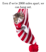 Hang out.png