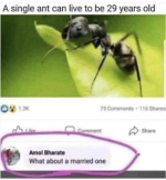 1785170265438.png