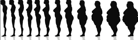 Evolution of woman.PNG