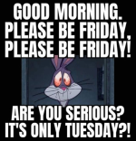 1785857430509.png