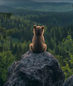Little bear.PNG Little bear.PNG