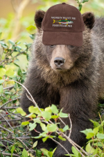 Fishing bear.png Fishing bear.png