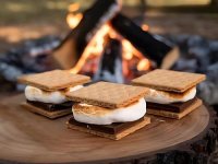 Wolfie s'mores.jpg Wolfie s'mores.jpg