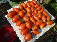 P1510732.JPG