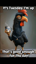 1786465797613.png