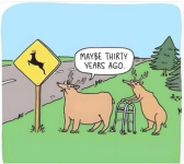 1786995407495.png