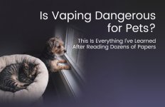 blog6 cover3.jpg